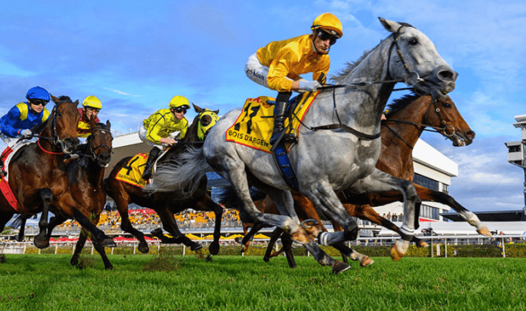The Science of Horse Racing: Understanding Animal Physiology