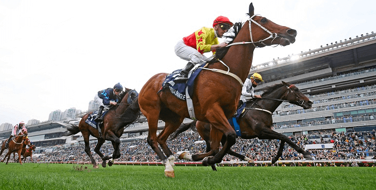 The Thrill of Watching Horse Racing Live