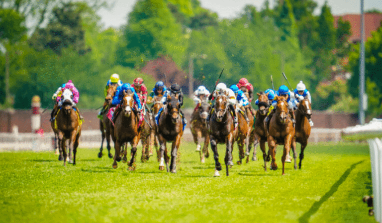 The Thrills of Watching Horse Racing Live