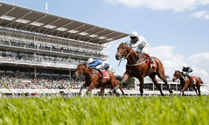 The Top 5 Horse Racing Books You Should Read