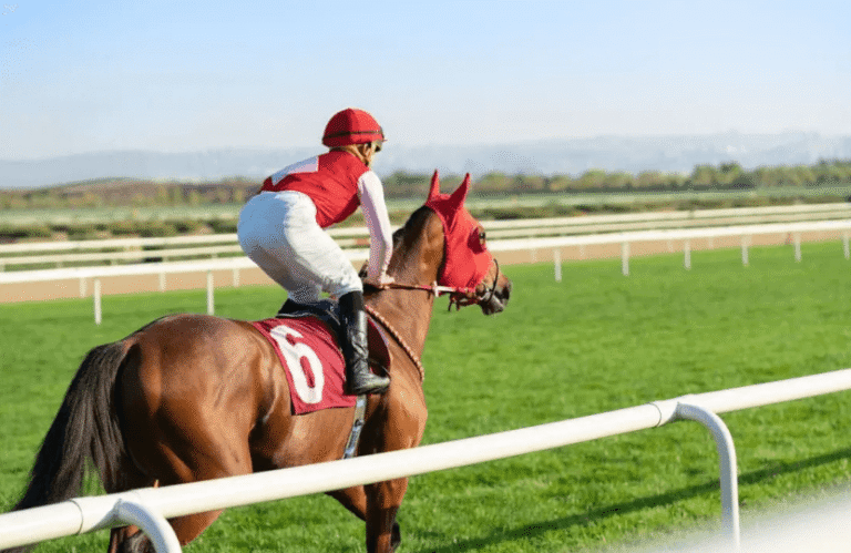 The Top 5 Horse Racing Legends of All Time