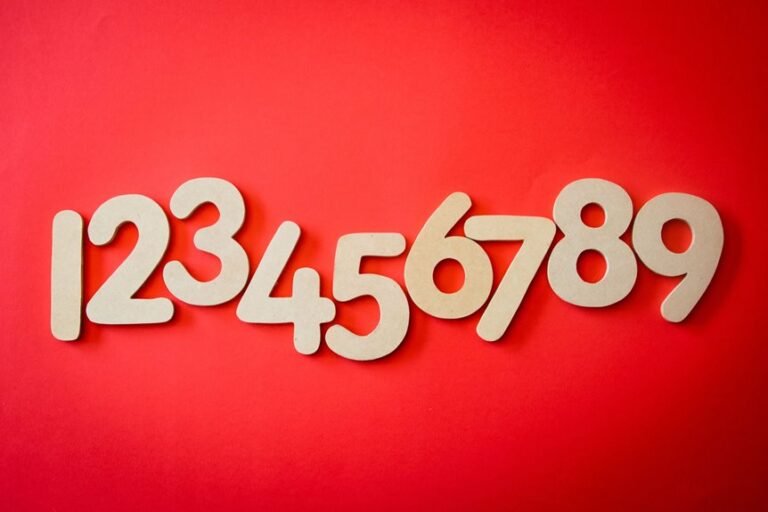 bridge numbers echo chronicle