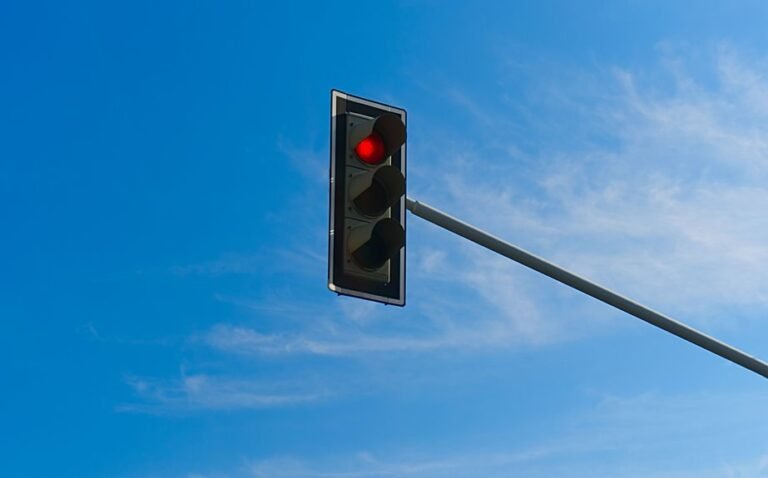 web spam signal detection summary